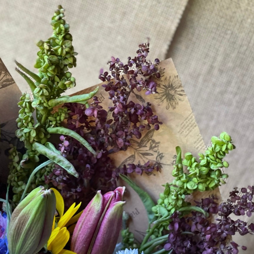 Orach 'Red Plume' - 25 SEEDS