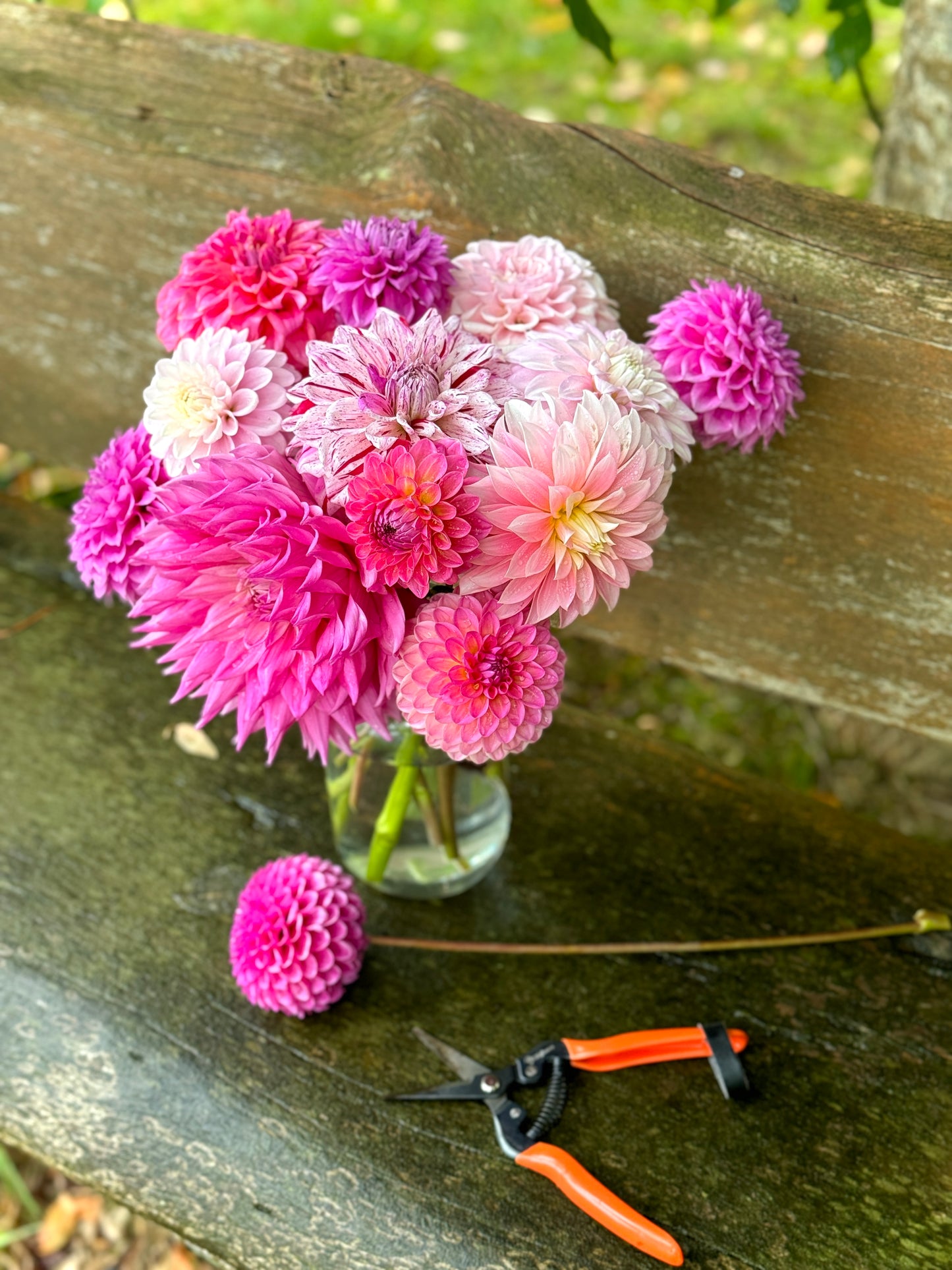 TUESDAY 7TH OCT - Flower Therapy