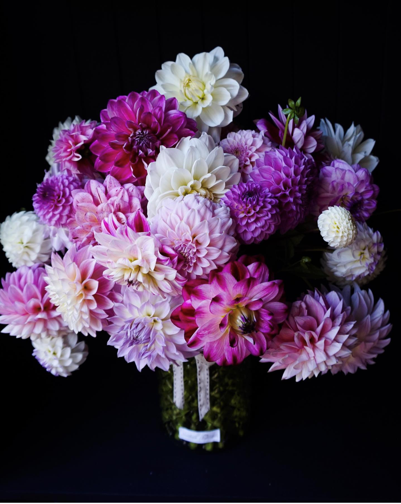FRIDAY 4TH APR - Flower Farm Tour & Dahlia Harvest Experience