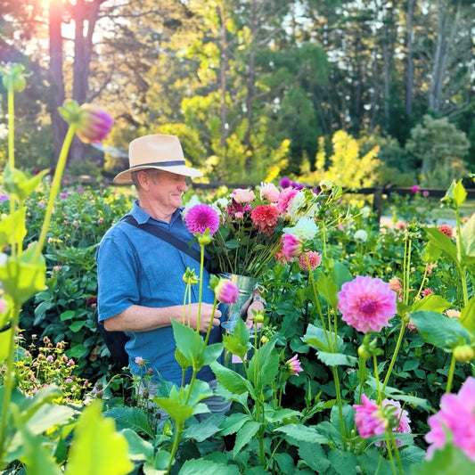 SATURDAY 14TH FEB - 'Golden Hour' Pick-Your-Own Bouquet Experience