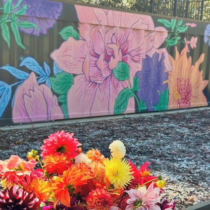 THURSDAY 26TH MAR - Flower Farm Tour & Dahlia Harvest Experience