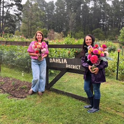 TUESDAY 10TH FEB - Flower Therapy