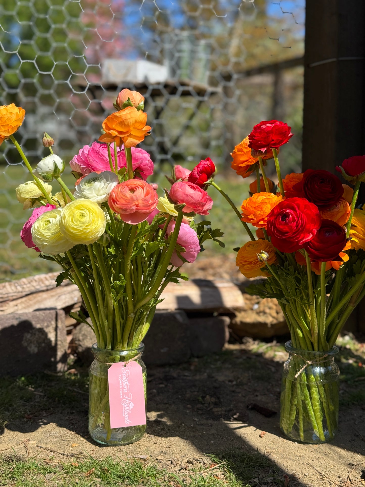 TUESDAY 13TH OCT - Flower Therapy (9:30-10:30am)