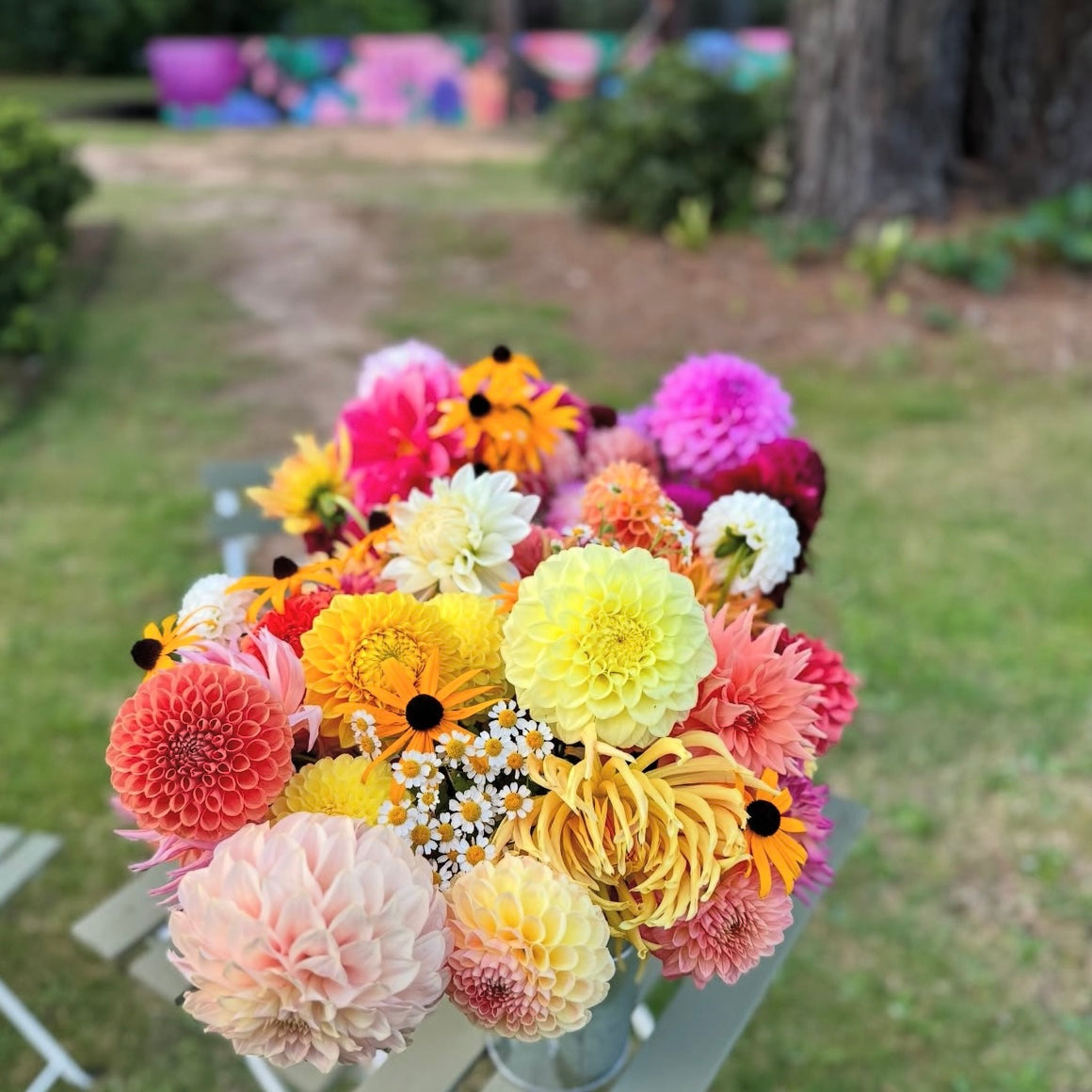 FRIDAY 20TH MAR - 'Golden Hour' Pick-Your-Own Bouquet Experience