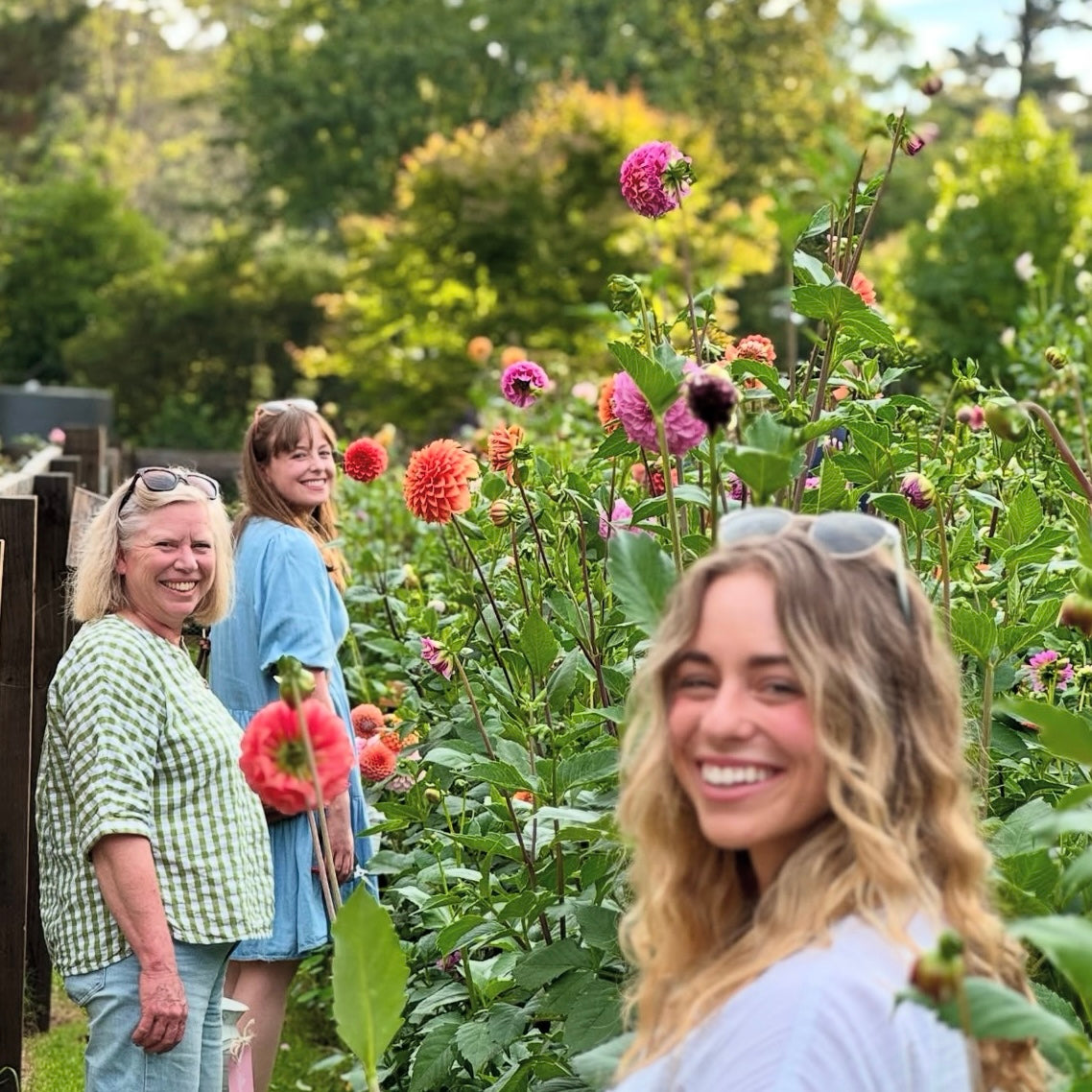 FRIDAY 20TH MAR - 'Golden Hour' Pick-Your-Own Bouquet Experience