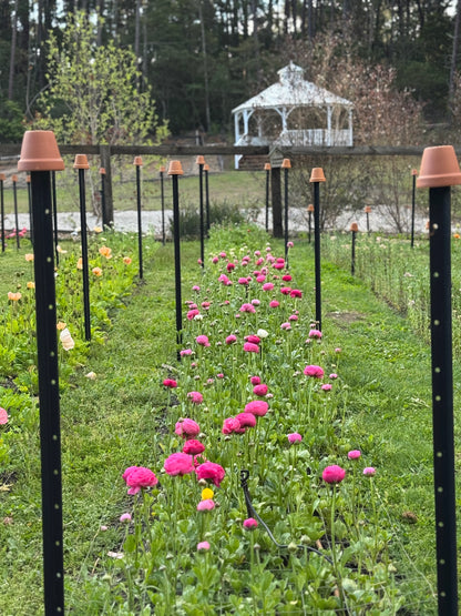 TUESDAY 13TH OCT - Flower Therapy (9:30-10:30am)