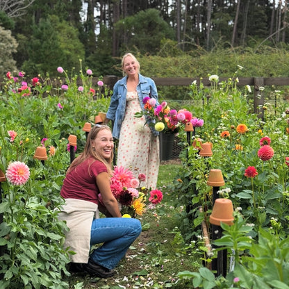 THURSDAY 26TH MAR - Flower Farm Tour & Dahlia Harvest Experience