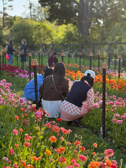 SATURDAY 3RD OCT - 'Golden Hour' Pick-Your-Own Bouquet Experience (4:30-6:30pm)