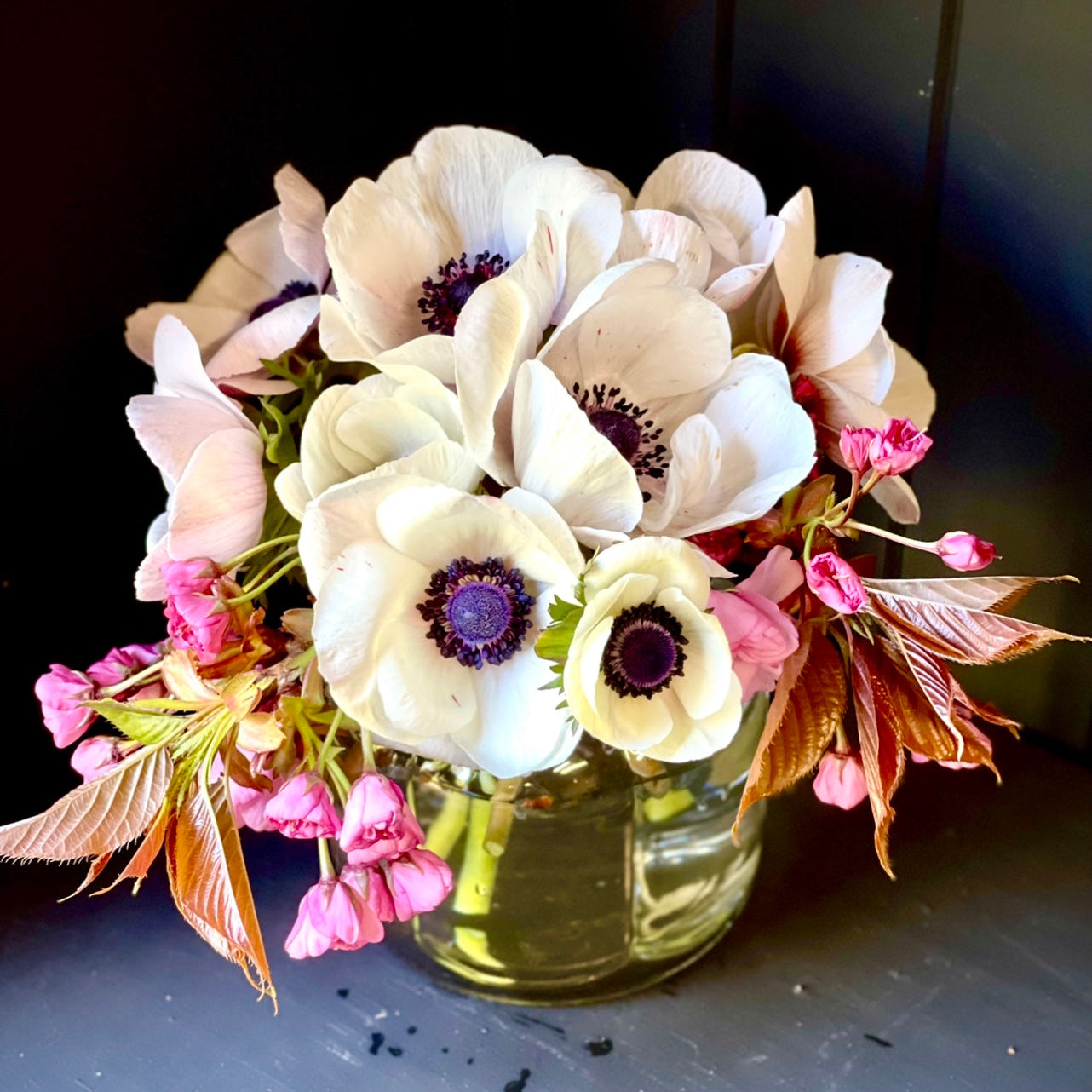 Italian Anemone 'Mistral' Mix - 5 CORMS