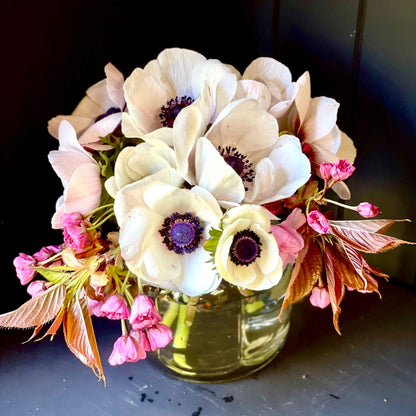 Italian Anemone 'Mistral' Mix - 5 CORMS