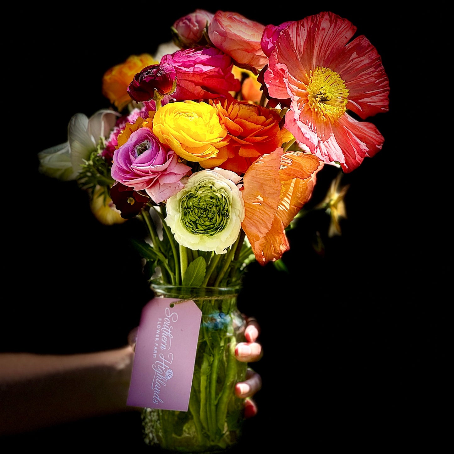 TUESDAY 13TH OCT - Flower Therapy (9:30-10:30am)