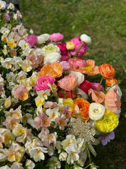 TUESDAY 13TH OCT - Flower Therapy (9:30-10:30am)
