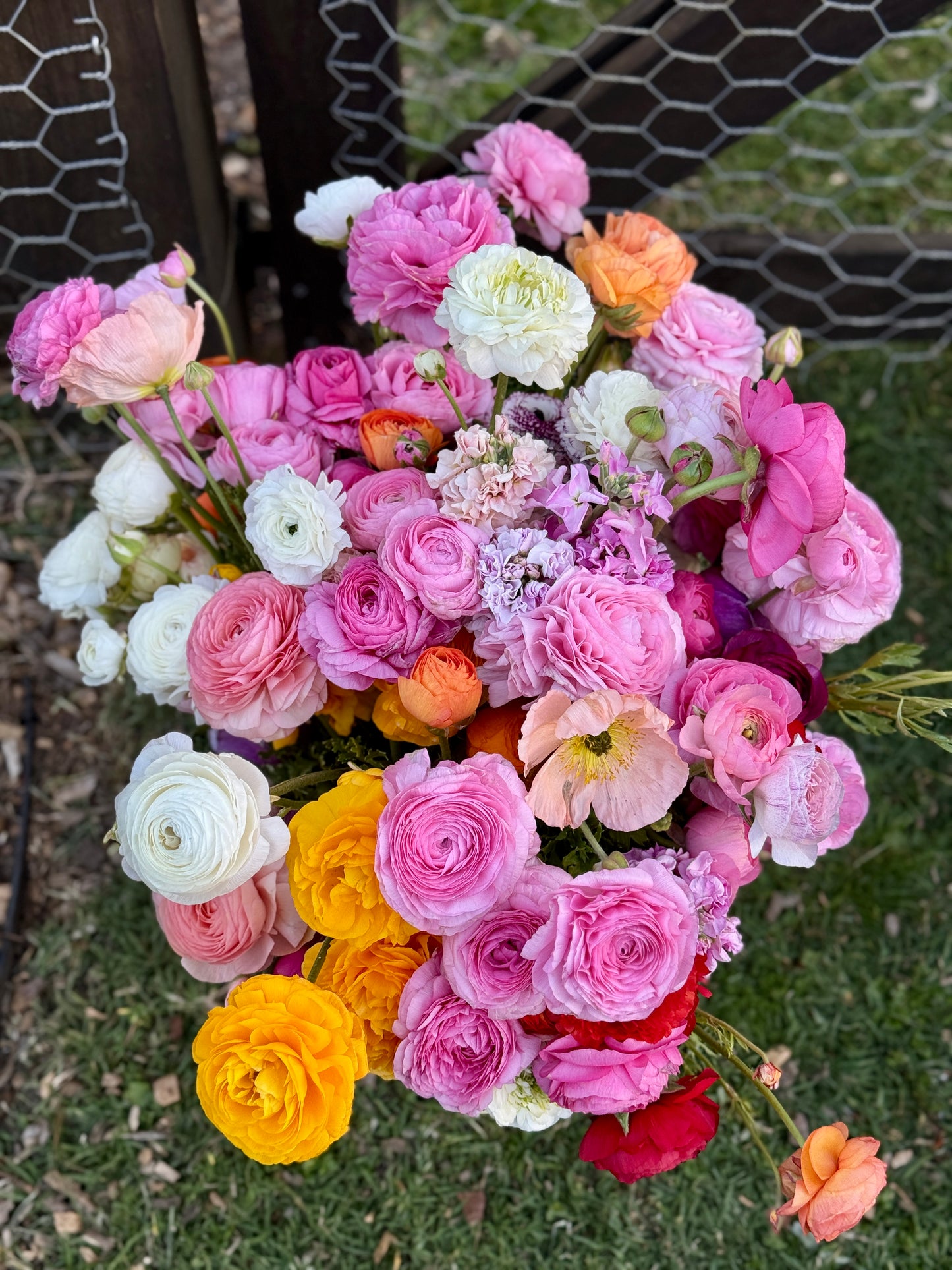 SATURDAY 3RD OCT - 'Golden Hour' Pick-Your-Own Bouquet Experience (4:30-6:30pm)