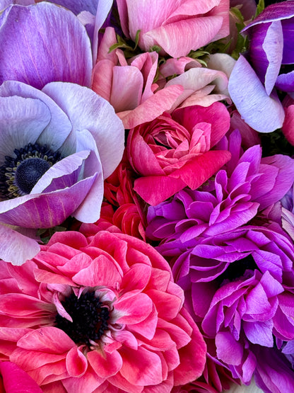 TUESDAY 15TH SEP - Flower Therapy (9:30-10:30am)