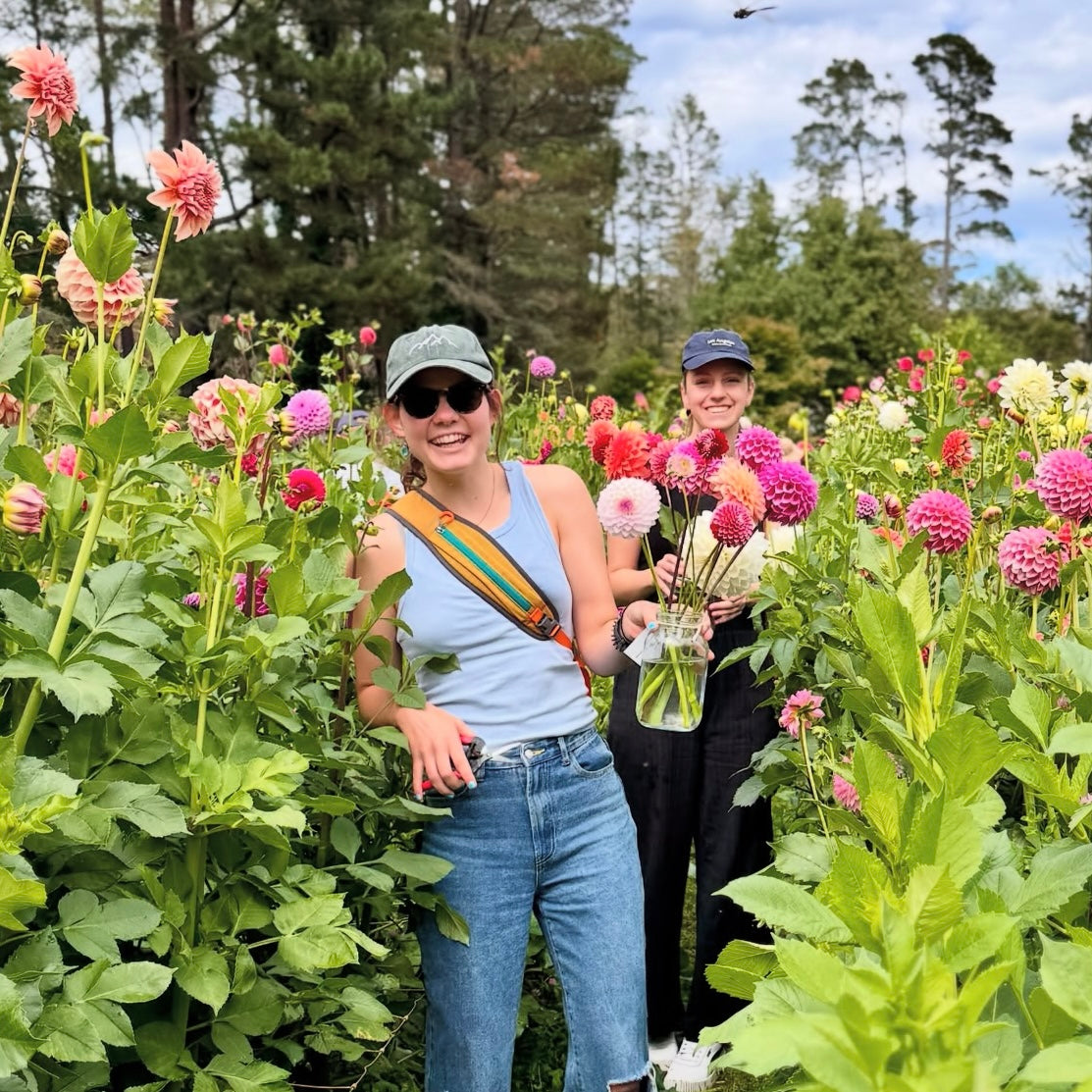 TUESDAY 10TH FEB - Flower Therapy