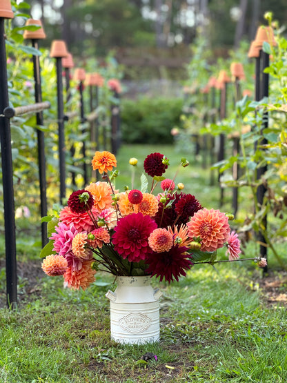 SATURDAY 1ST MAR - 'Golden Hour' Pick-Your-Own Bouquet Experience