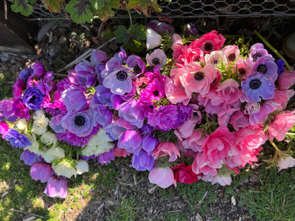 Italian Anemone 'Levante' Mix - 5 CORMS
