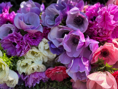 TUESDAY 15TH SEP - Flower Therapy (9:30-10:30am)