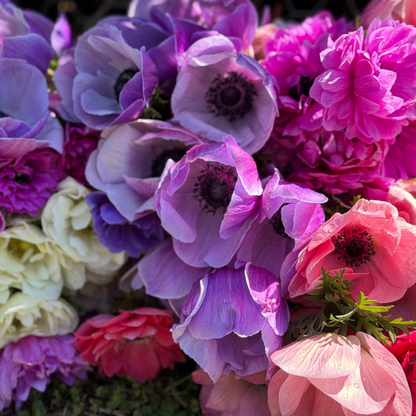 TUESDAY 15TH SEP - Flower Therapy (9:30-10:30am)
