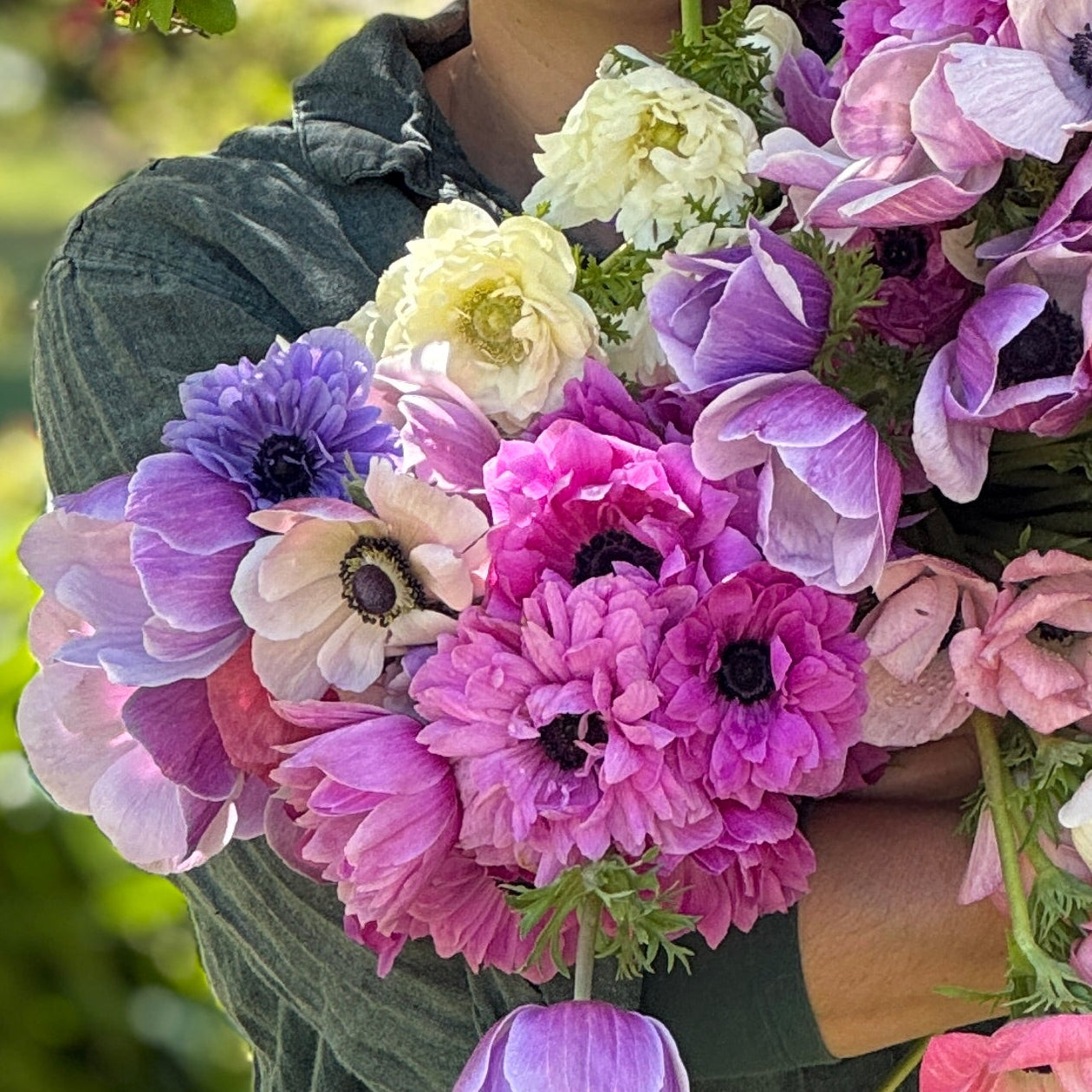Italian Anemone 'Levante' Mix - 5 CORMS