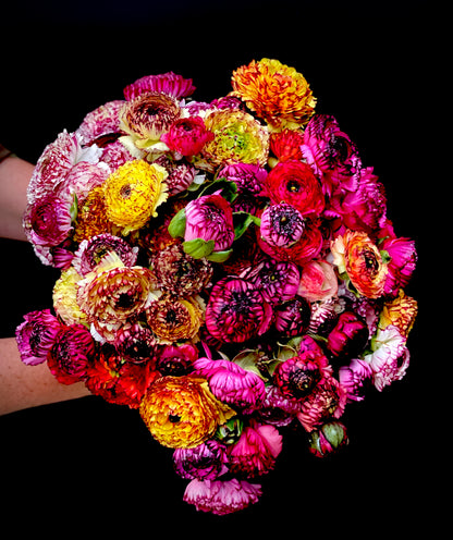 SATURDAY 18TH OCT - Flower Farm Tour & Harvest Experience