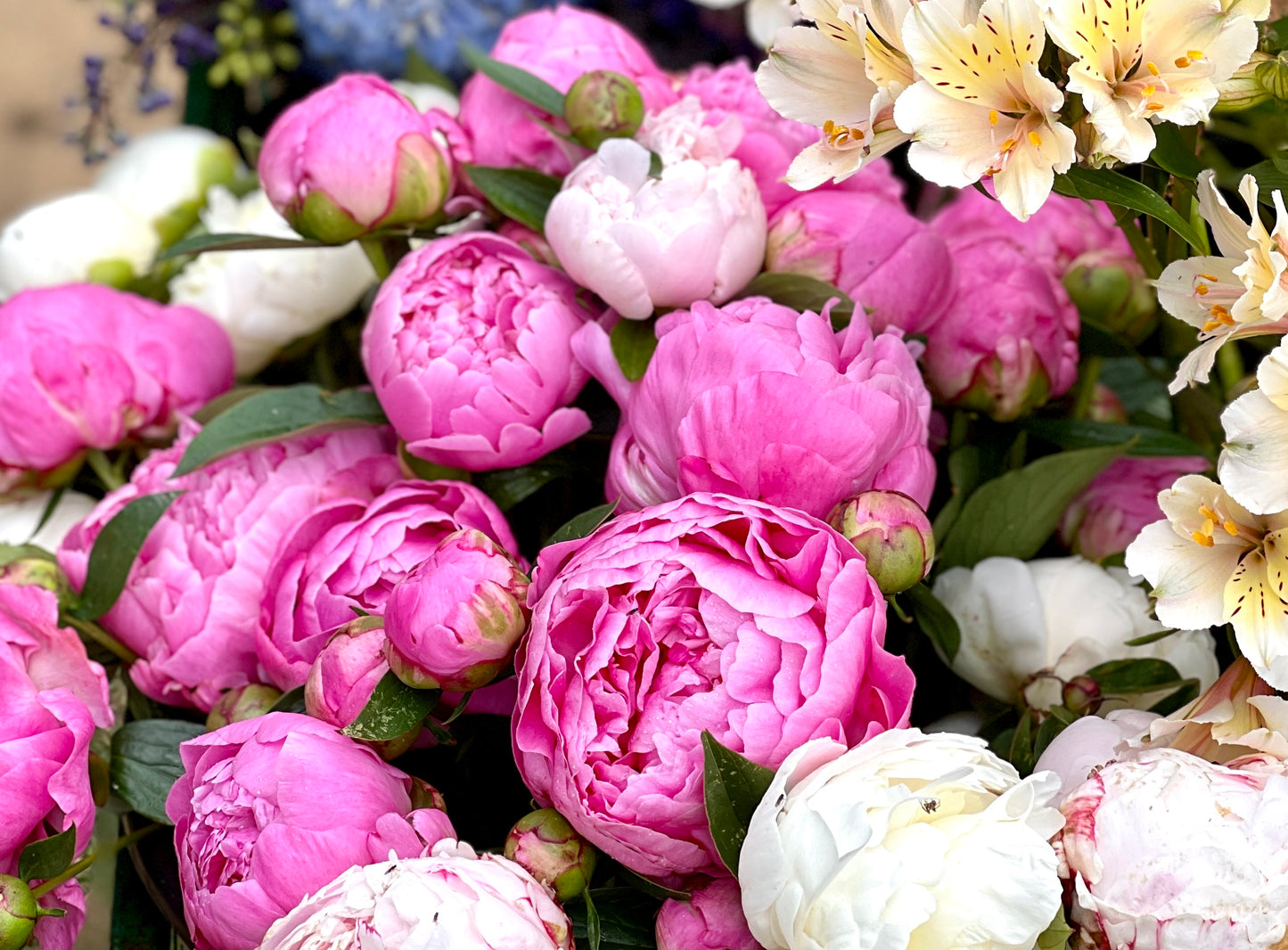 Petite Peony Posy