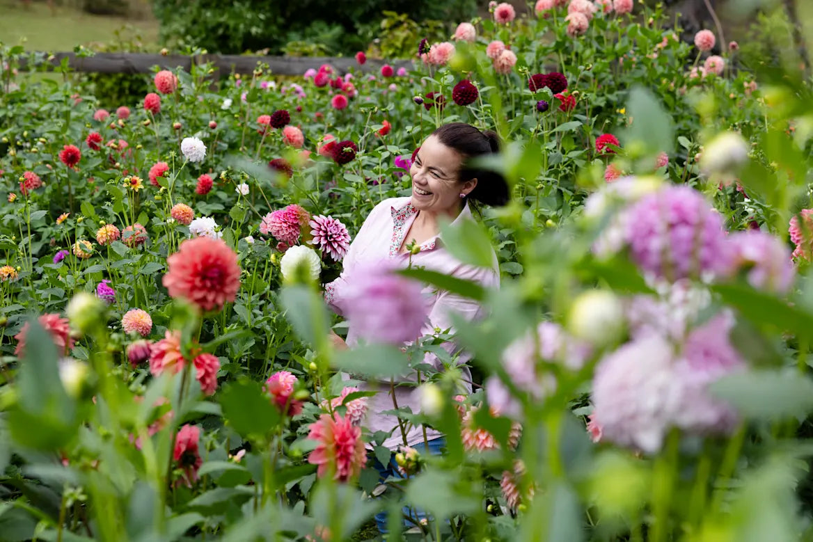 Online Winter Dahlia Workshop