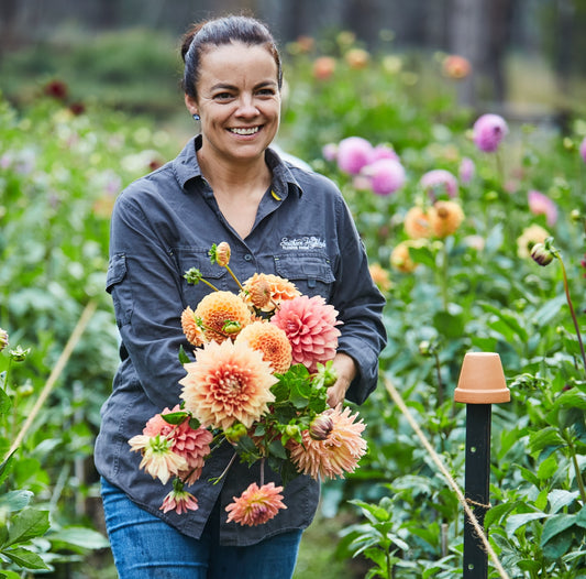 FRIDAY 28TH MAR - Flower Farm Tour & Dahlia Harvest Experience